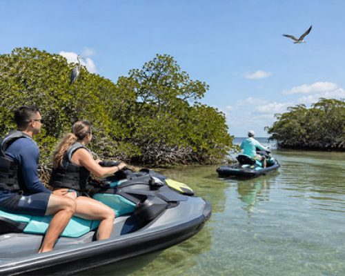 Two jet skiers passing by Stump Isand and Don Pedro Island while blue heron are sitting nearby.