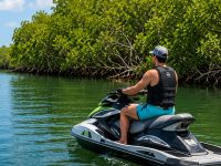 The backside of jet ski tour guide along side the mangroves of the Gulf coast.